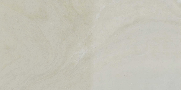 1013 - Sand Dollar